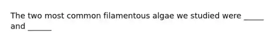 The two most common filamentous algae we studied were _____ and ______