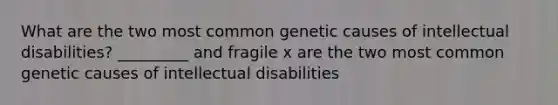 What are the two most common genetic causes of intellectual disabilities? _________ and fragile x are the two most common genetic causes of intellectual disabilities