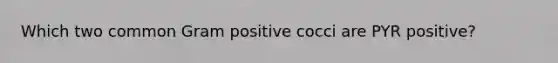 Which two common Gram positive cocci are PYR positive?