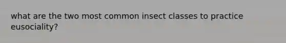 what are the two most common insect classes to practice eusociality?