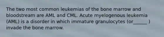 The two most common leukemias of the bone marrow and bloodstream are AML and CML. Acute myelogenous leukemia (AML) is a disorder in which immature granulocytes (or______ ) invade the bone marrow.