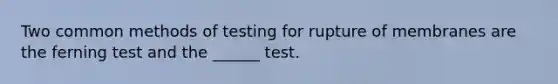 Two common methods of testing for rupture of membranes are the ferning test and the ______ test.