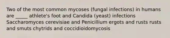 Two of the most common mycoses (fungal infections) in humans are _____ athlete's foot and Candida (yeast) infections Saccharomyces cerevisiae and Penicillium ergots and rusts rusts and smuts chytrids and coccidioidomycosis