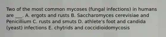 Two of the most common mycoses (fungal infections) in humans are ___. A. ergots and rusts B. Saccharomyces cerevisiae and Penicillium C. rusts and smuts D. athlete's foot and candida (yeast) infections E. chytrids and coccidioidomycosis