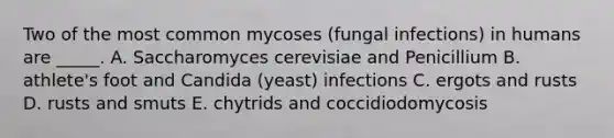 Two of the most common mycoses (fungal infections) in humans are _____. A. Saccharomyces cerevisiae and Penicillium B. athlete's foot and Candida (yeast) infections C. ergots and rusts D. rusts and smuts E. chytrids and coccidiodomycosis