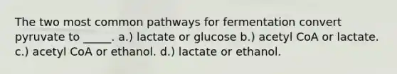 The two most common pathways for fermentation convert pyruvate to _____. a.) lactate or glucose b.) acetyl CoA or lactate. c.) acetyl CoA or ethanol. d.) lactate or ethanol.