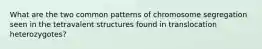 What are the two common patterns of chromosome segregation seen in the tetravalent structures found in translocation heterozygotes?