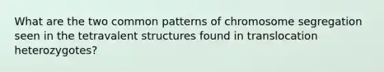 What are the two common patterns of chromosome segregation seen in the tetravalent structures found in translocation heterozygotes?