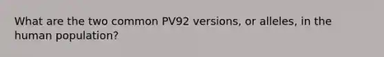 What are the two common PV92 versions, or alleles, in the human population?