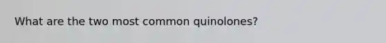 What are the two most common quinolones?