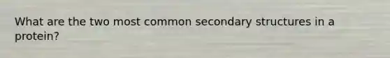 What are the two most common secondary structures in a protein?