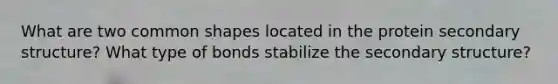 What are two common shapes located in the protein <a href='https://www.questionai.com/knowledge/kRddrCuqpV-secondary-structure' class='anchor-knowledge'>secondary structure</a>? What type of bonds stabilize the secondary structure?