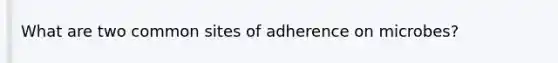 What are two common sites of adherence on microbes?