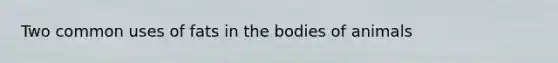 Two common uses of fats in the bodies of animals