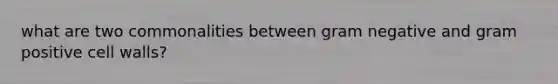 what are two commonalities between gram negative and gram positive cell walls?