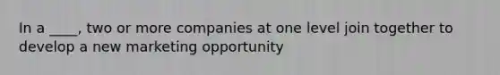 In a ____, two or more companies at one level join together to develop a new marketing opportunity