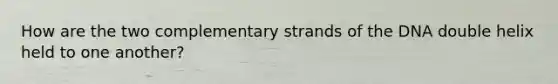 How are the two complementary strands of the DNA double helix held to one another?