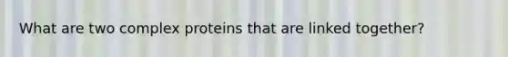 What are two complex proteins that are linked together?