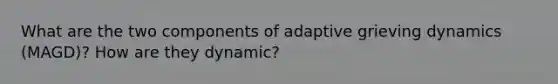 What are the two components of adaptive grieving dynamics (MAGD)? How are they dynamic?