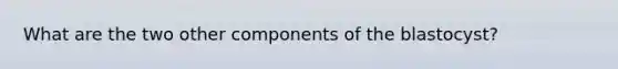 What are the two other components of the blastocyst?