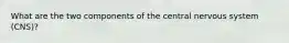 What are the two components of the central nervous system (CNS)?