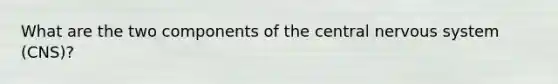 What are the two components of the central nervous system (CNS)?