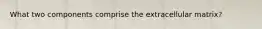 What two components comprise the extracellular matrix?