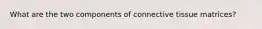What are the two components of connective tissue matrices?