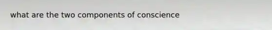 what are the two components of conscience