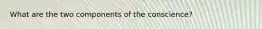 What are the two components of the conscience?