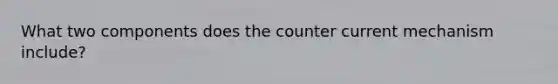 What two components does the counter current mechanism include?