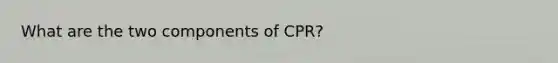 What are the two components of CPR?