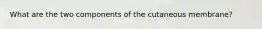 What are the two components of the cutaneous membrane?