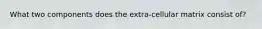What two components does the extra-cellular matrix consist of?