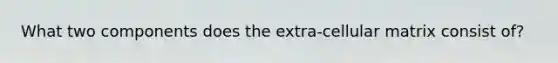 What two components does the extra-cellular matrix consist of?