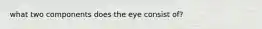 what two components does the eye consist of?