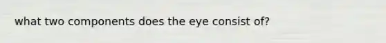 what two components does the eye consist of?