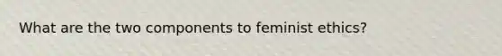 What are the two components to feminist ethics?