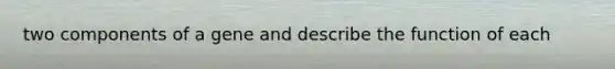 two components of a gene and describe the function of each