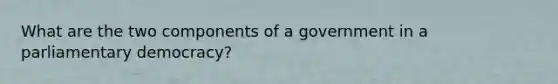 What are the two components of a government in a parliamentary democracy?