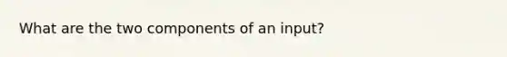 What are the two components of an input?