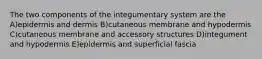 The two components of the integumentary system are the A)epidermis and dermis B)cutaneous membrane and hypodermis C)cutaneous membrane and accessory structures D)integument and hypodermis E)epidermis and superficial fascia