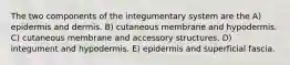 The two components of the integumentary system are the A) epidermis and dermis. B) cutaneous membrane and hypodermis. C) cutaneous membrane and accessory structures. D) integument and hypodermis. E) epidermis and superficial fascia.