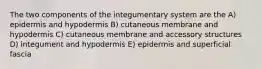 The two components of the integumentary system are the A) epidermis and hypodermis B) cutaneous membrane and hypodermis C) cutaneous membrane and accessory structures D) integument and hypodermis E) epidermis and superficial fascia