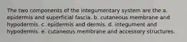 The two components of the integumentary system are the a. epidermis and superficial fascia. b. cutaneous membrane and hypodermis. c. epidermis and dermis. d. integument and hypodermis. e. cutaneous membrane and accessory structures.