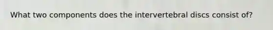 What two components does the intervertebral discs consist of?