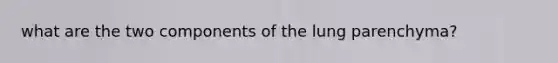 what are the two components of the lung parenchyma?
