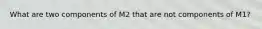 What are two components of M2 that are not components of M1?