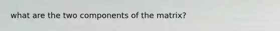 what are the two components of the matrix?