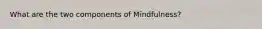 What are the two components of Mindfulness?